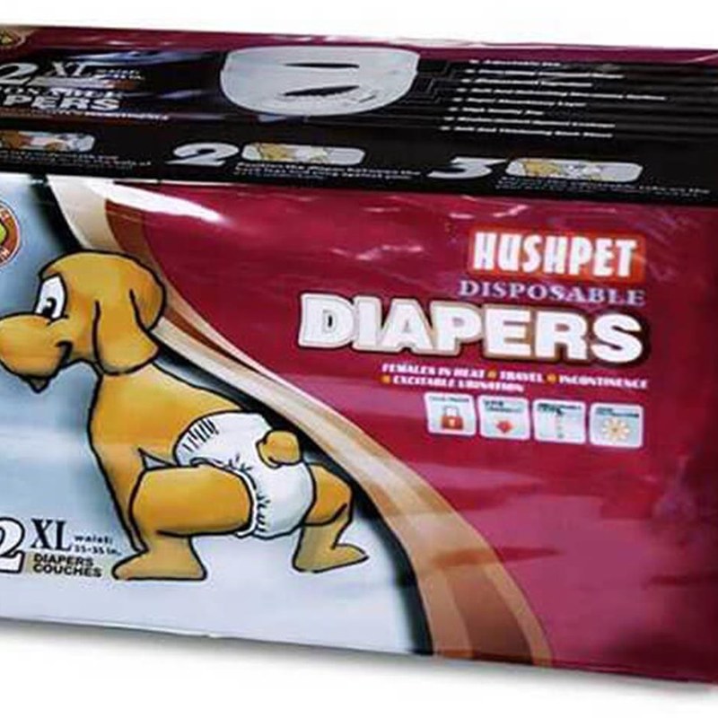 Neoprene Diz Bağı XL Beden 1